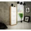 12 Pair Shoe Storage Cabinet