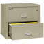 Fireproof 2 - Drawer File Cabinet-217203-331546