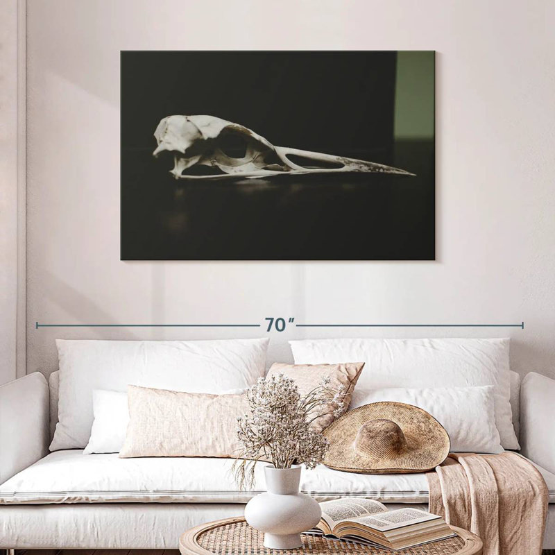 Kerner Bird Skull