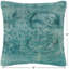 Coussin décoratif