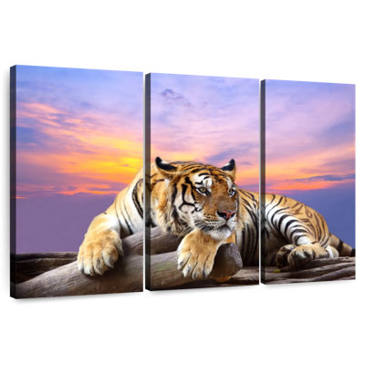 Lounging Tiger