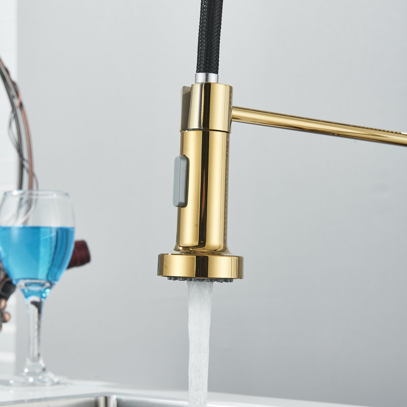 Belfry Kitchen Dejean Kitchen Faucet