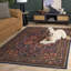 Tapis oriental Gemstone 804 Performance-800813998