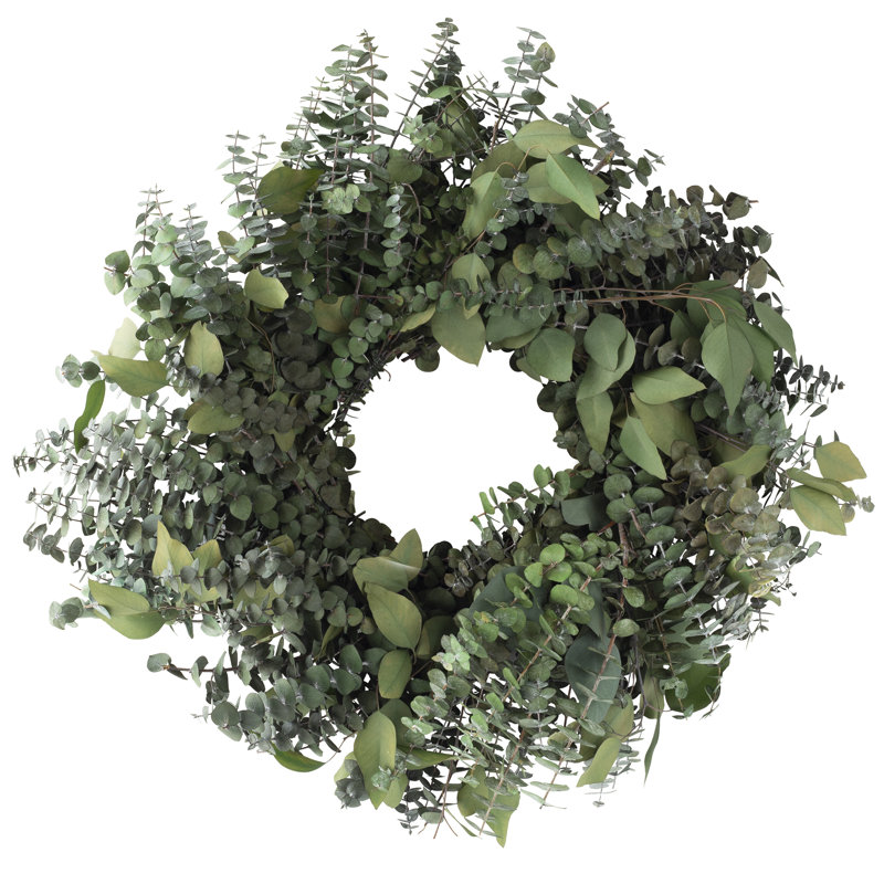 Handcrafted Preserved Eucalyptus Real Greenery 20'' Wreath