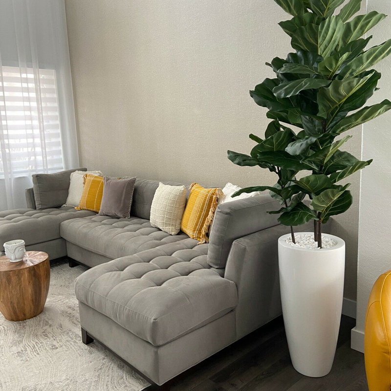 70" Fiddle Leaf Plant