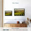 Nature "Art mural Blenheim Vineyard"-101793851