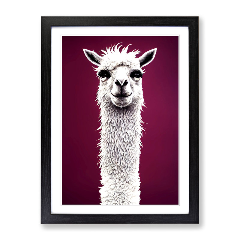 Cheltenham Face Of A Llama Vol.1 - Picture Frame Print, Black, 34cm H x 25cm W x 2cm D