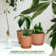Pots de fleurs d'intérieur avec drainage, ensemble de 5 pots de différentes tailles, en terre cuite-23956494