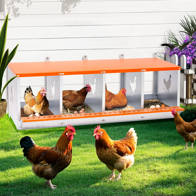 Boîte de nidification en acier galvanisé orange à 4 compartiments pour et canards, avec rembourrage en fibre de noix de coco naturelle, ventilation, installation simple, nettoyage avec confort favorisant le rendement des œufs