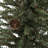 Carmel 2' Pine Christmas Tree