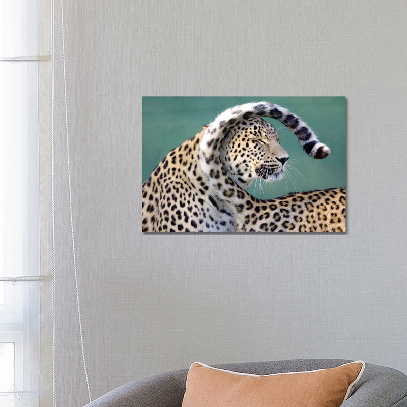 Leopards by Goran Anastasovski - Wrapped Canvas Print, 66.04 cm H x 45.72 cm W x 1.91 cm D
