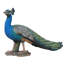 Statue peacock oiseau-petit