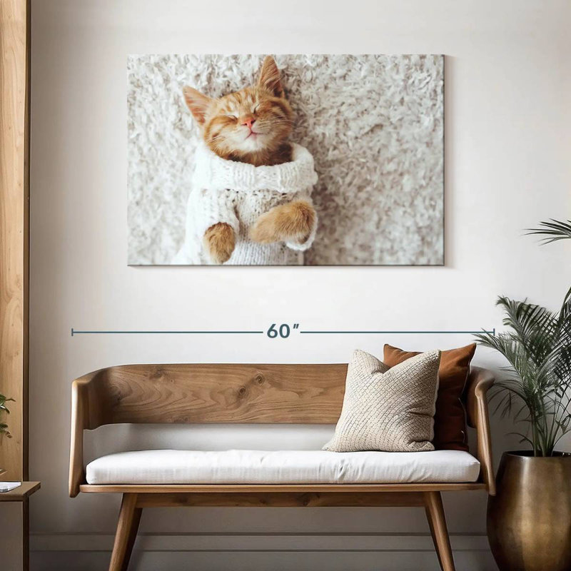 Chat Brampt dans un chandail, H 30 po x l 45 po