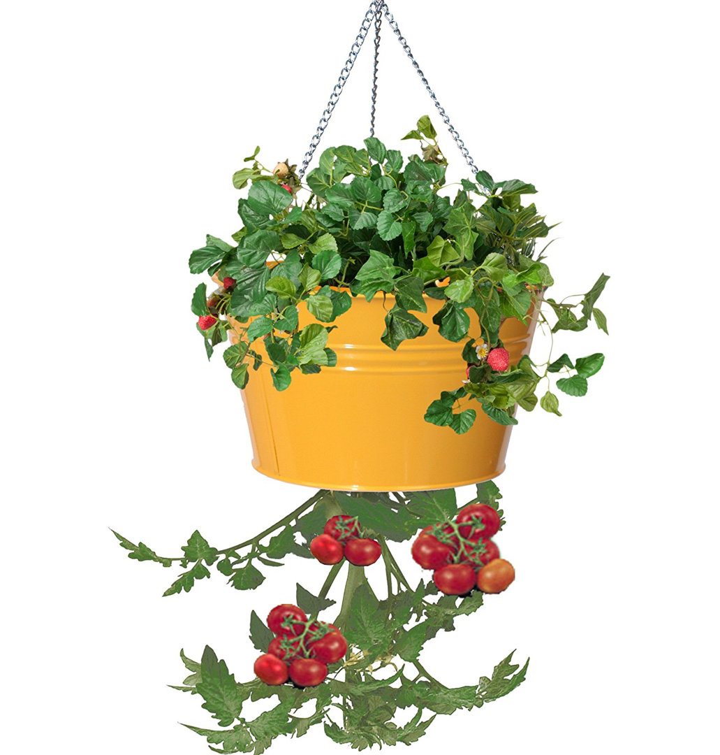 Kilding Galvanized Steel Hanging Planter Winston Porter