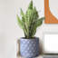 Donahue Diamond Style Grey Cylinder Planter, Round Indoor Plant Pot Also Can Be Used as Hanging Planter-819621052