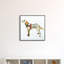 «Apphia Yellow Lab» par Alex Zeng, reproduction d'art encadrée sur verre