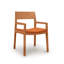 Iso Microsuede Arm Chair-61624268-61624282