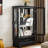 Elegant 2 - Door Display With Integrated Lighting And Vintage Metal Handle, Black, For Home Office Decor Retro Glass Graceful Curved Legs 15 22 Lb Capacity Shelves,