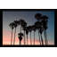 Venice Beach par Natalie Carpentieri - photographie-64742722-64742723
