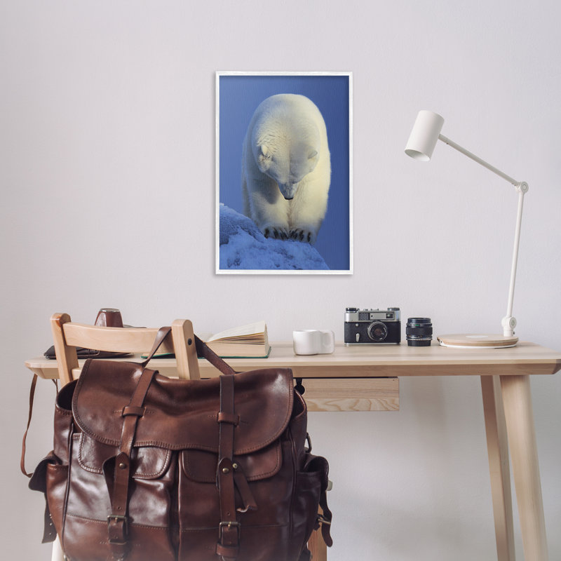 Contemplation, giclée d'ours polaire par Shane Lamb, Estampe numérique encadrée blanc bord de mer, H 30 po x l 20 po