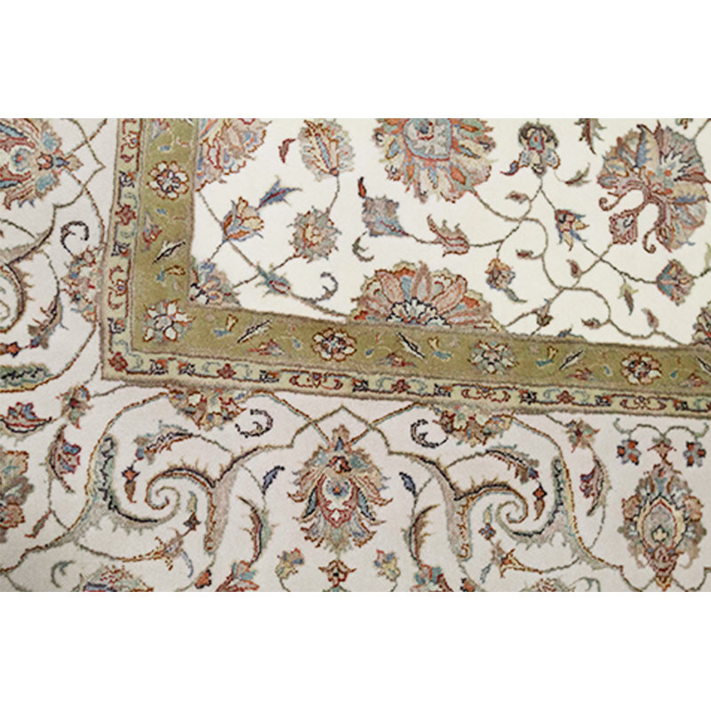 Oriental Area Rug in Ivory