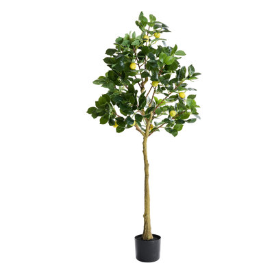 158cm Faux Bonsai Tree in Pot