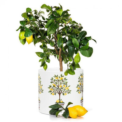 Pot à fleurs Lemon Trees