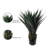 Black 36 inch Tall Artificial Succulent Plant in Pot