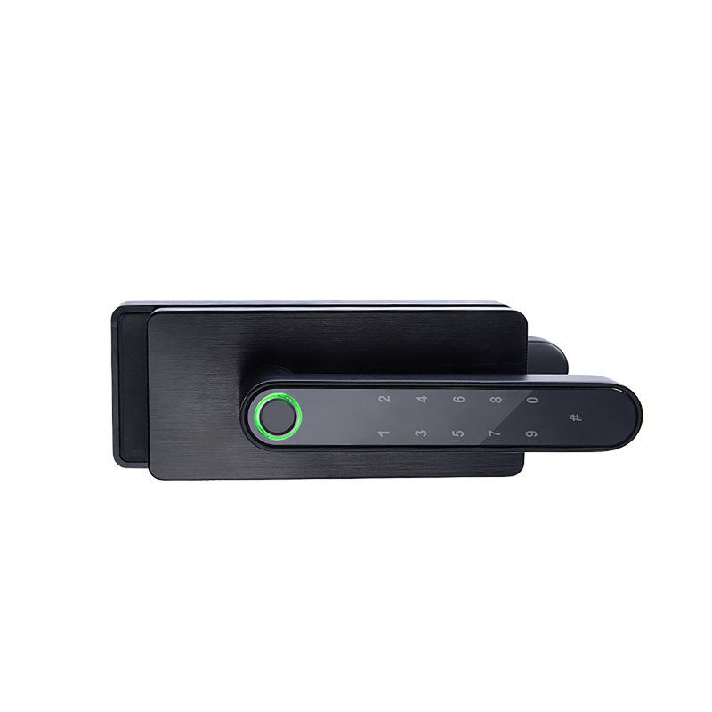 Smart Lock With Fingerpint, Password, Keys Unlock - Glass Door Locks