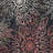 Sauget Floral Black Multicolor Indoor Outdoor Area Rug-20516236