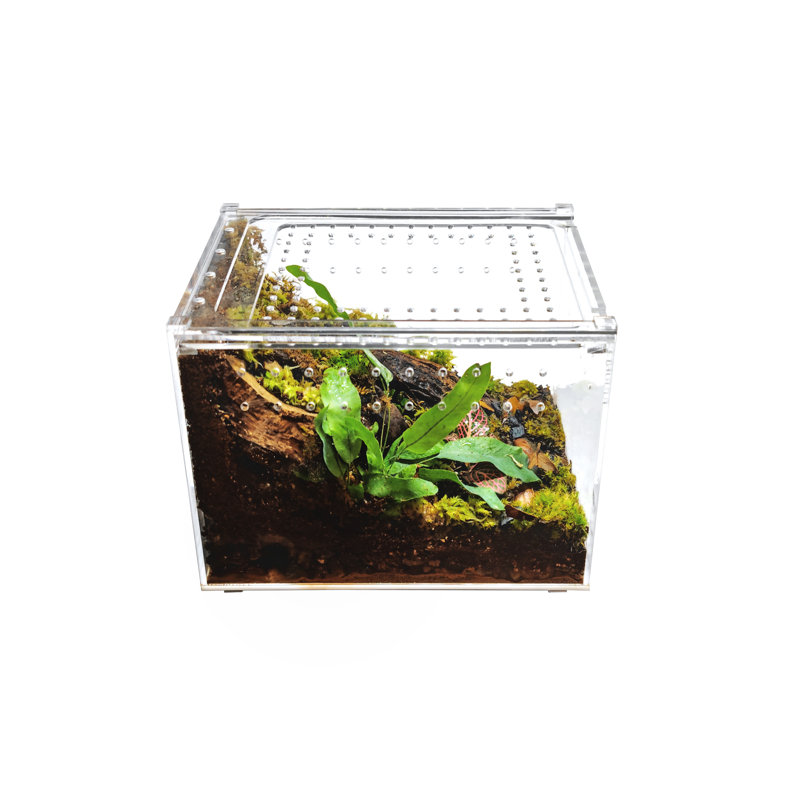 Acrylic Reptile Terrarium, 1 Gallon - 8"H x 6"W x 6"D