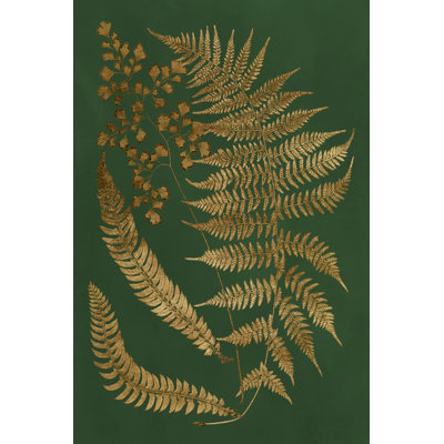Gilded Ferns I - Wrapped Canvas Print