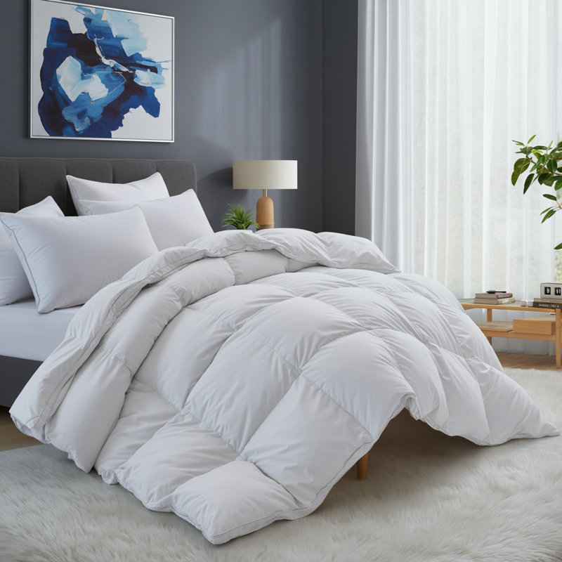 All Season Goose Down & Feather Fiber Duvet Insert Down Comforter, Full, White