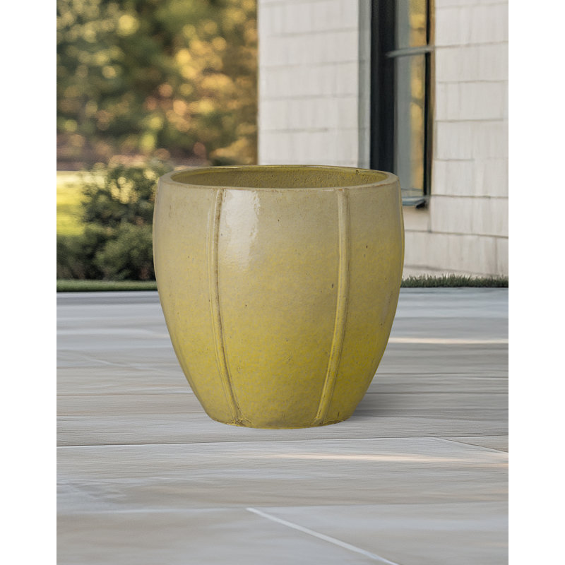CREST PLANT, NEIGE, H 20 po x l 21 po x P 21 po, Jaune