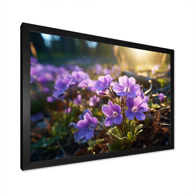 «Violets Field At Sunrise II», reproduction sur toile, H 30 po x l 40 po x P 1,5 po, Cadre simple noir
