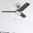 Reston 42" Ceiling Fan with LED Light