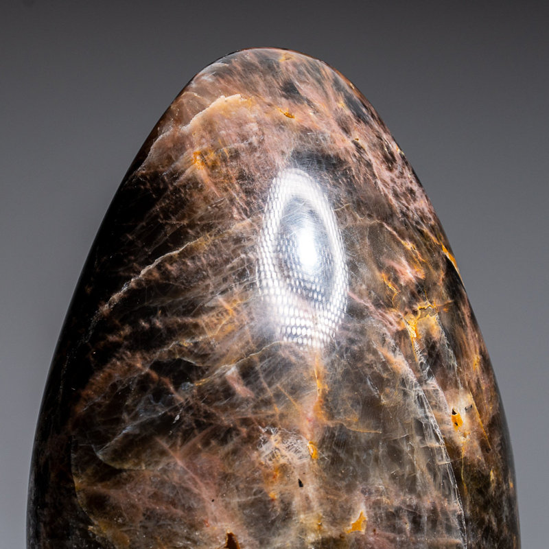 Genuine Polished Black Moonstone Freeform from Madagascar (3.2 Lbs), Black/Brown, 6.5" H x 4" W x 2.5" D