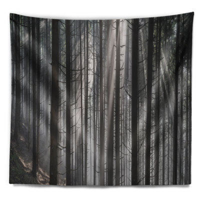 Rayons de soleil parcourant une tapisserie sombre forêt