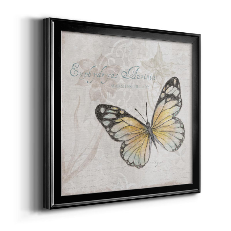 Carte postale papillon II - reproduction d'art sur toile, H 30,5 po x l 30,5 po x P 1,5 po, Noir
