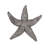 Starfish Handmade Coastal Landscape & Nature Wall Decor on Polyresin-21529048