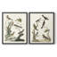 Oiseaux antiques dans la nature, impression encadrée de qualité supérieure - prête à être accrochée - aucun clou requis - aucun clou requis-1103485937-1103485943