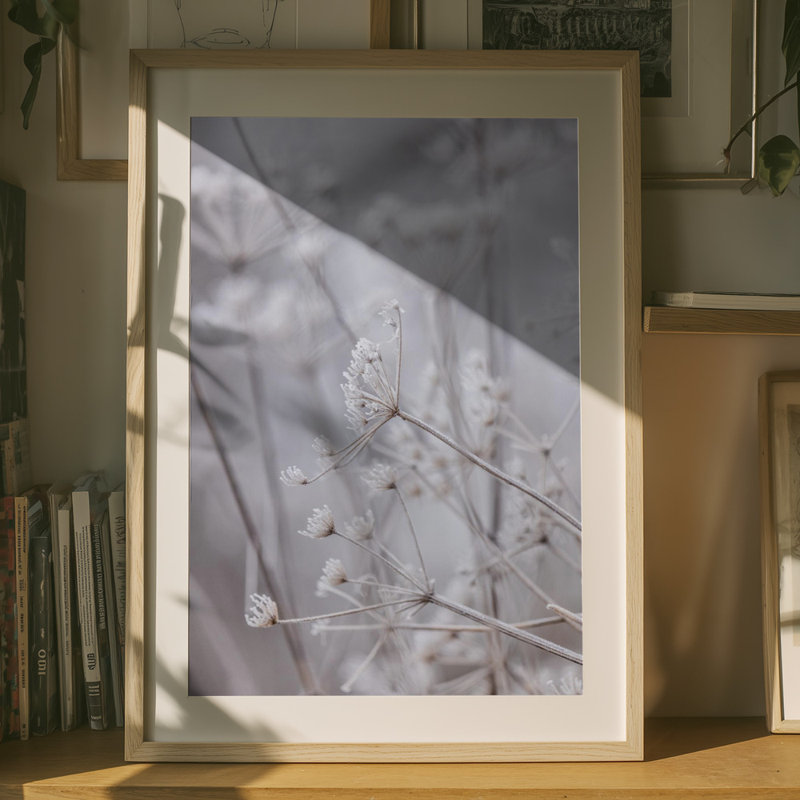 Wrapped Canvas Print, 121.92cm H x 81.28 cm W