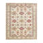 Oriental Area Rug in Ivory