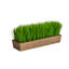 Herbe artificielle 5 po en pot