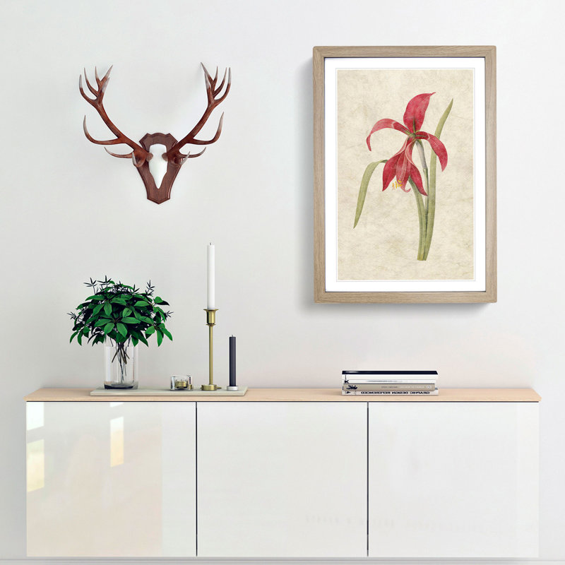 Amaryllis Flower by Pierre-Joseph Redoute - Single Picture Frame Painting, 33cm H x 24cm W x 2cm D, Oak Framed