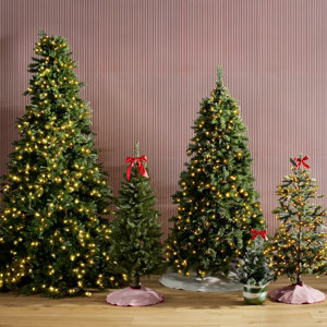 Christmas Trees