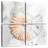 Aletra Blush Shell II