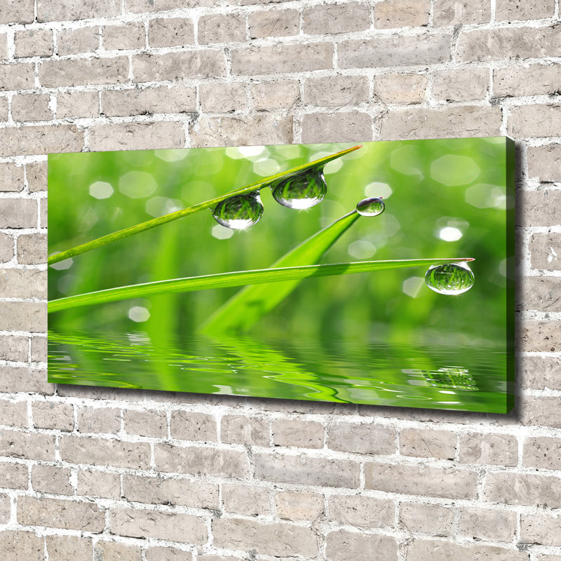 Drops On The Grass - Wrapped Canvas Print