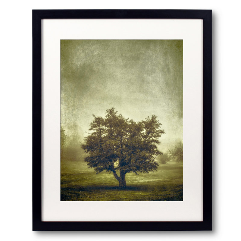 Tree In The Fog 2 Print, 32" H x 24" W