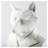Figurines & Sculptures-70911958